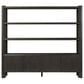 Four Hands Bolton Orwin Wide Bookcase in Smoked Black Oak, , large
