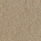Anderson Tuftex Luxe Feel I Carpet in Gentle Doe, , large