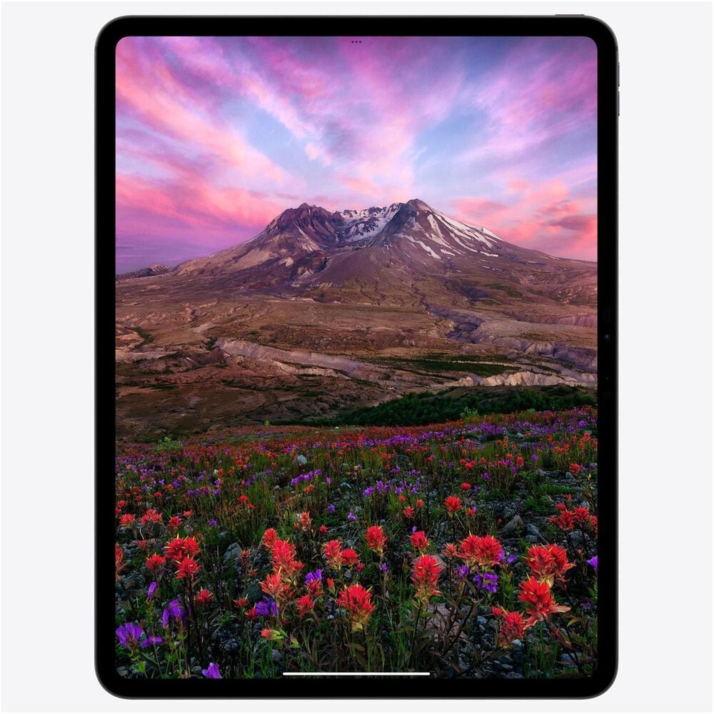 Apple iPad Pro 11-Inch M4 chip with Wi-Fi only - 256GB in Space Black, , large