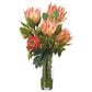 Allstate Floral 26" Protea/Leucospe Plant in Orange, , large