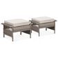 Sunwell Garden Ottoman with Beige Cushion and Widened Armrest in Gray (Set of 2), , large