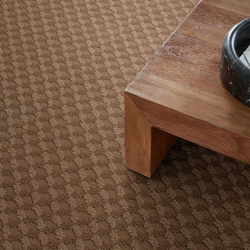 Anderson Tuftex Inspired Design Carpet in Sunbaked, , large