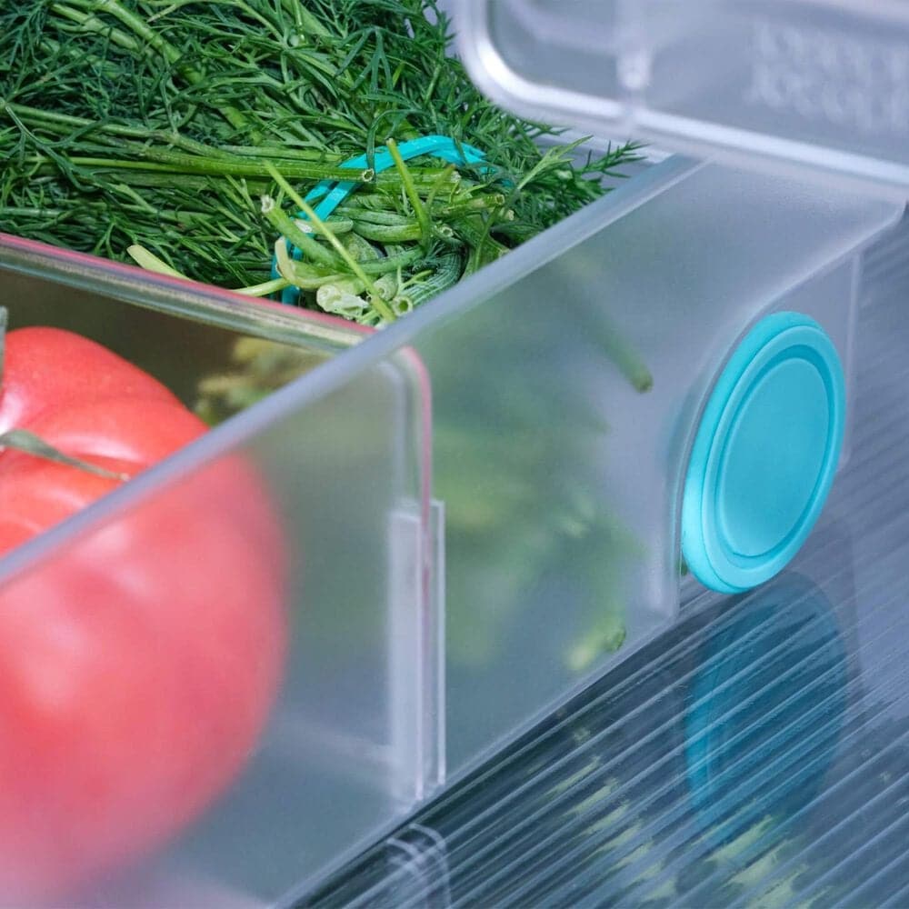 Joseph Joseph FridgeStore Extra Large Storage Bin in Clear, , large