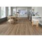 Paramount Riverton Riverwood 7" x 51" Laminate, , large