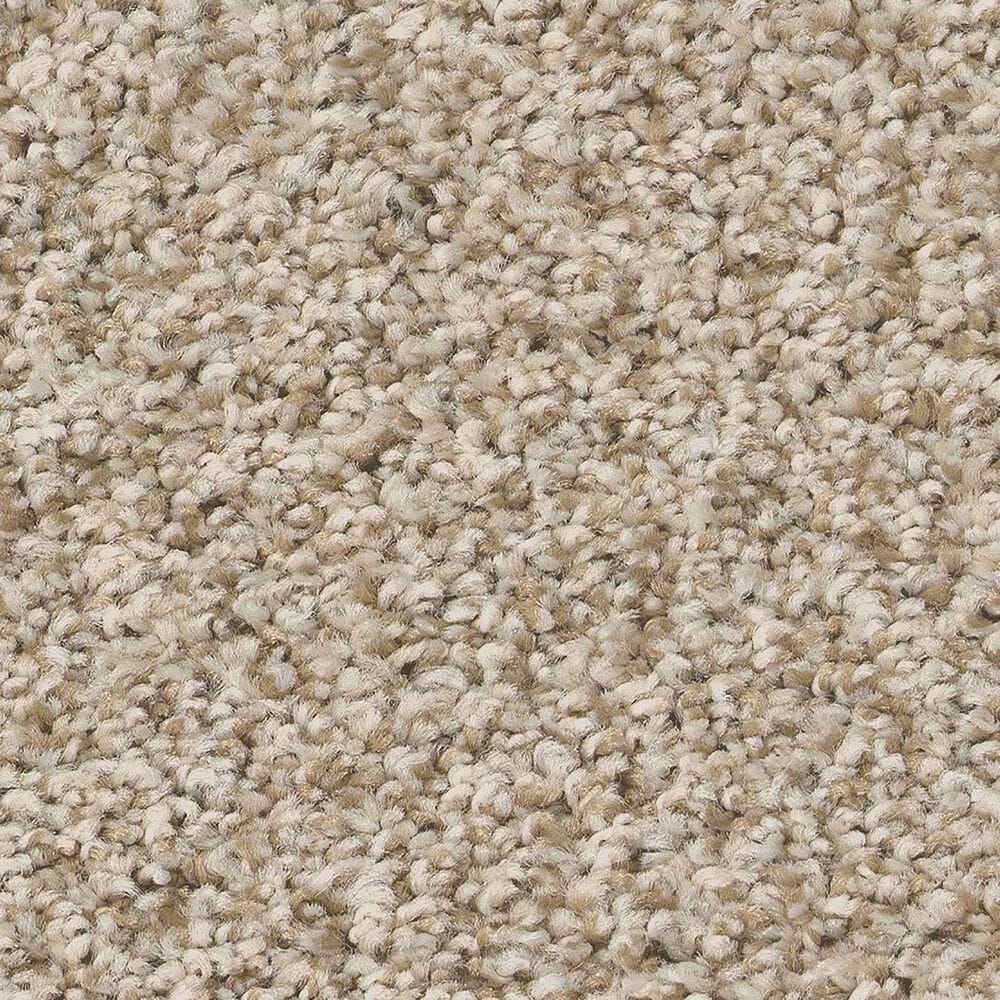 Shaw Tweed Comfort I Carpet in Vacay, , large