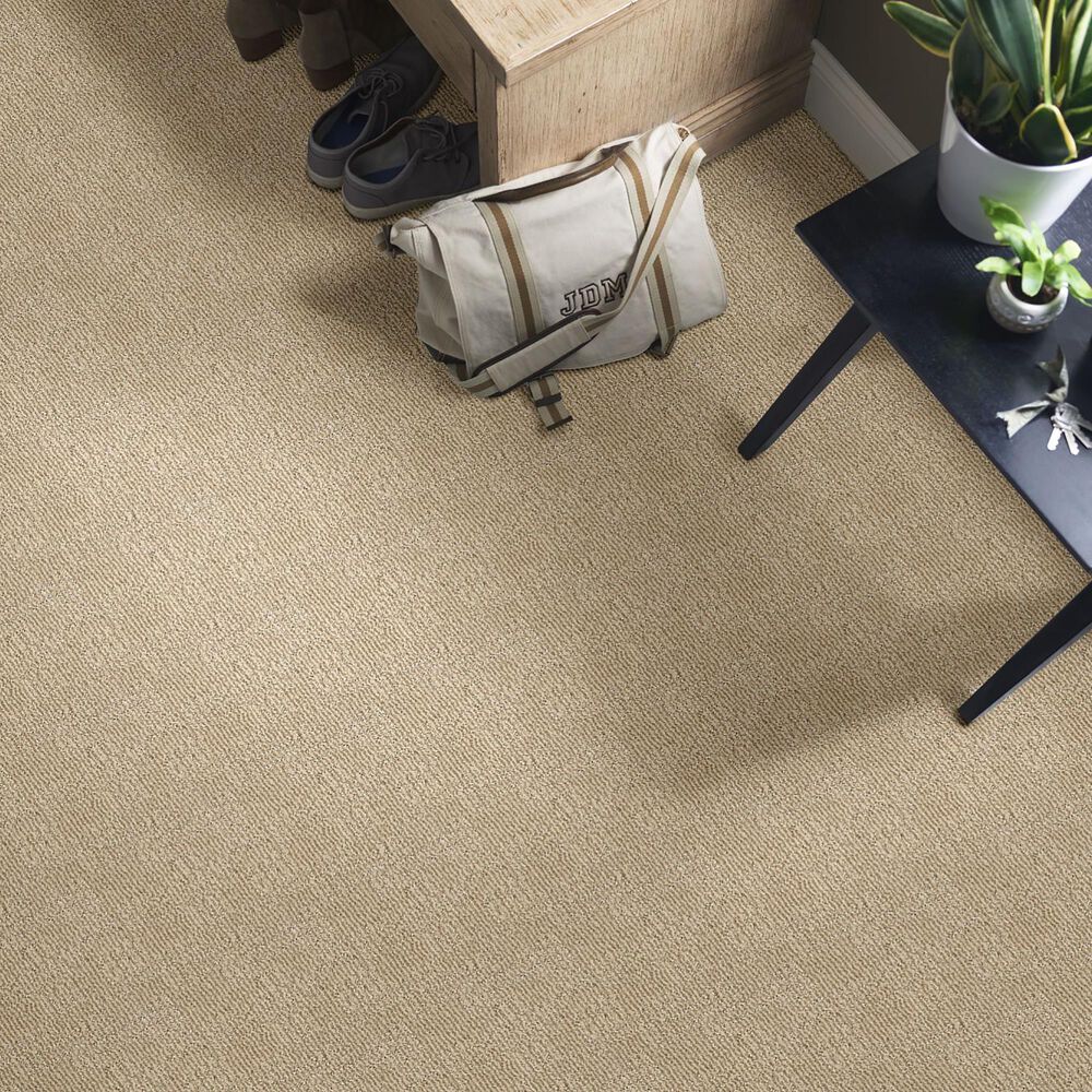 Anderson Tuftex Loredo Carpet in Antique, , large