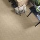 Anderson Tuftex Loredo Carpet in Antique, , large