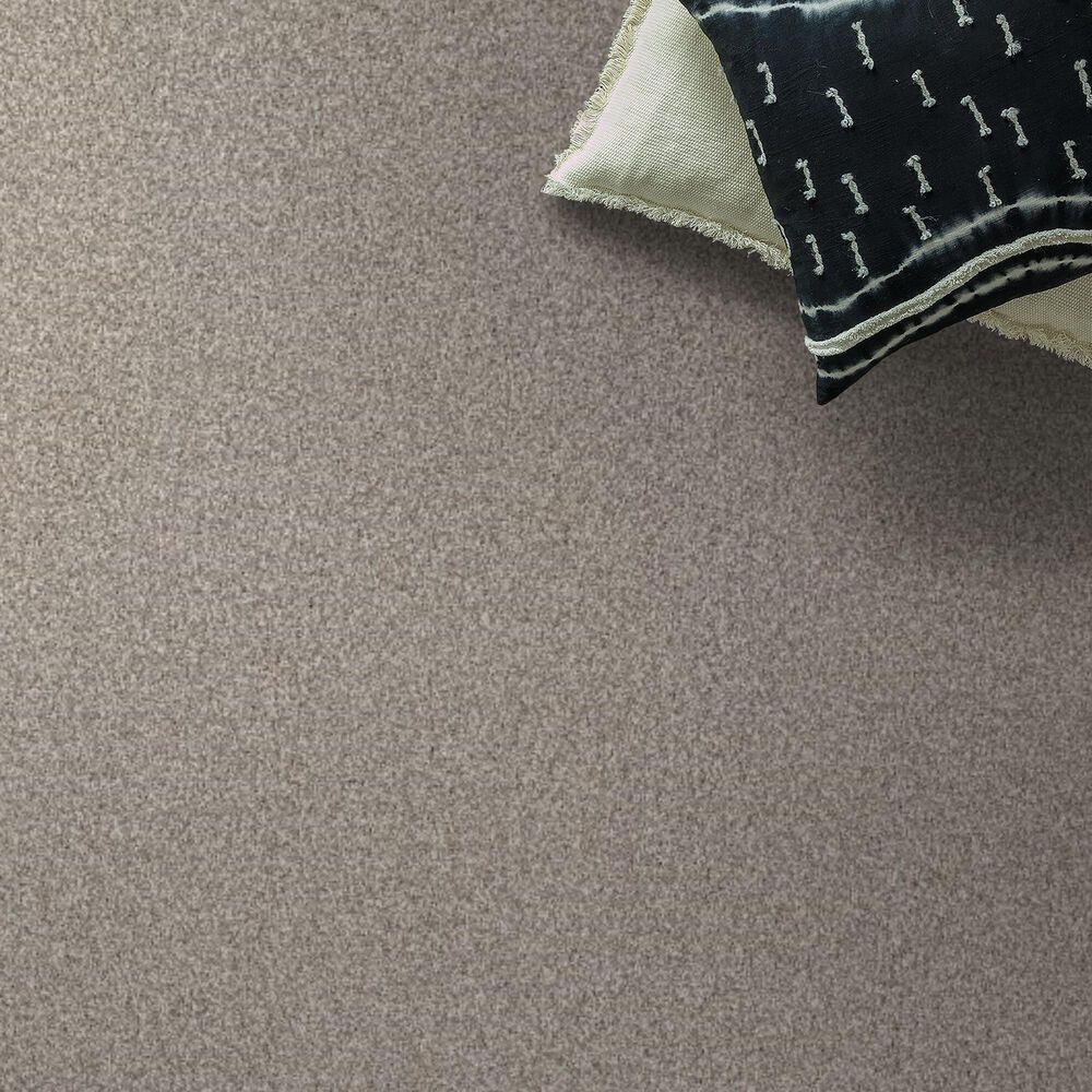 Anderson Tuftex Terra Nova Carpet in Misty Dawn, , large