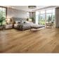 Karastan Bellacree Blanched Walnut Engineered Hardwood, , large