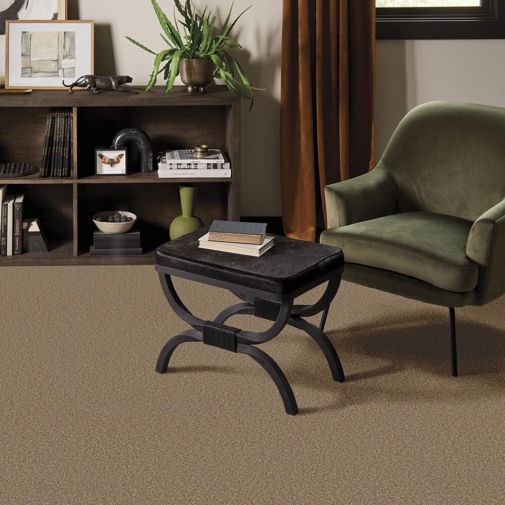 Anderson Tuftex Wyndham Estate Carpet in Toffee, , large