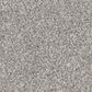 Philadelphia Delicate Feel I Carpet in Four Winds, , large