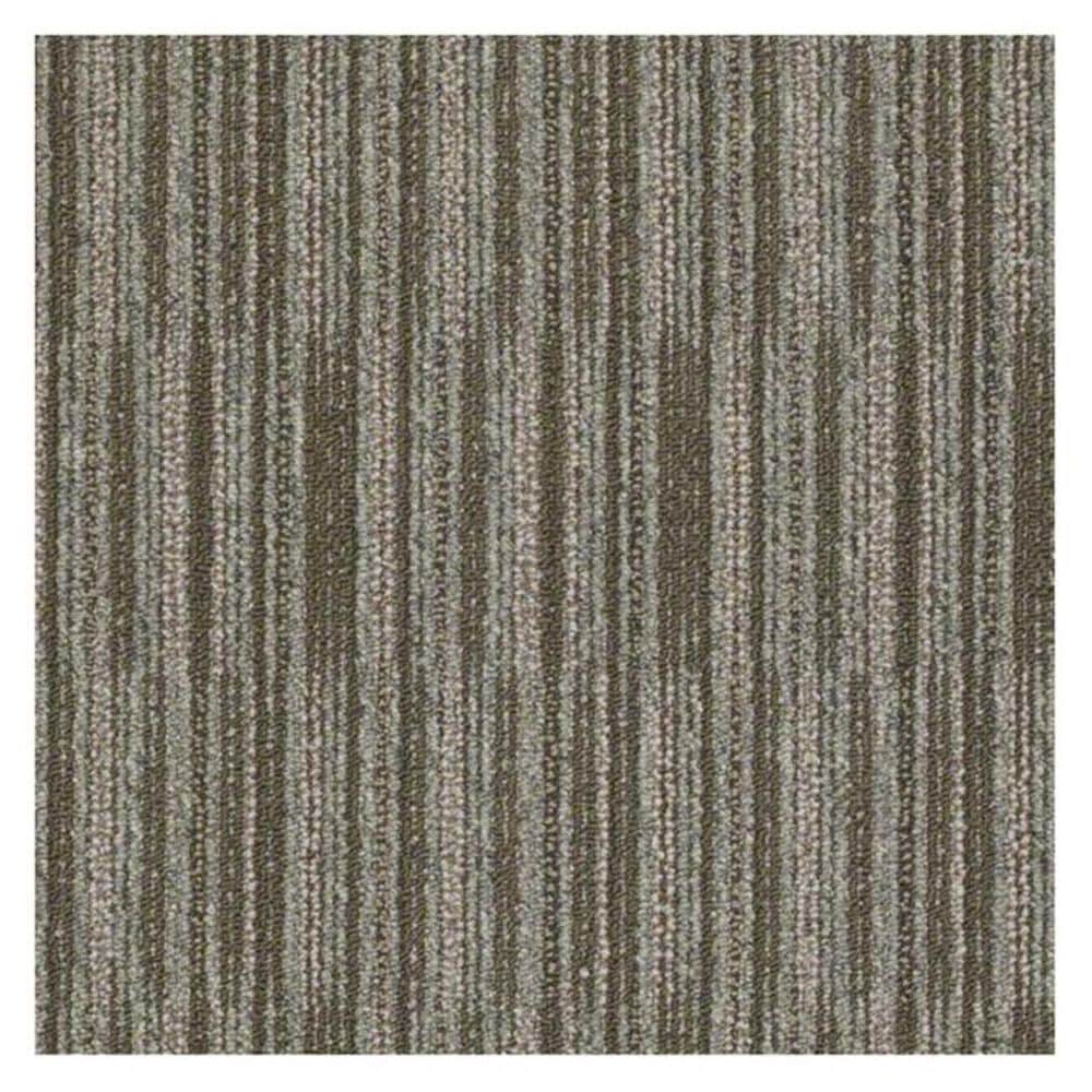 Shaw Cutaway Carpet in Segment, , large