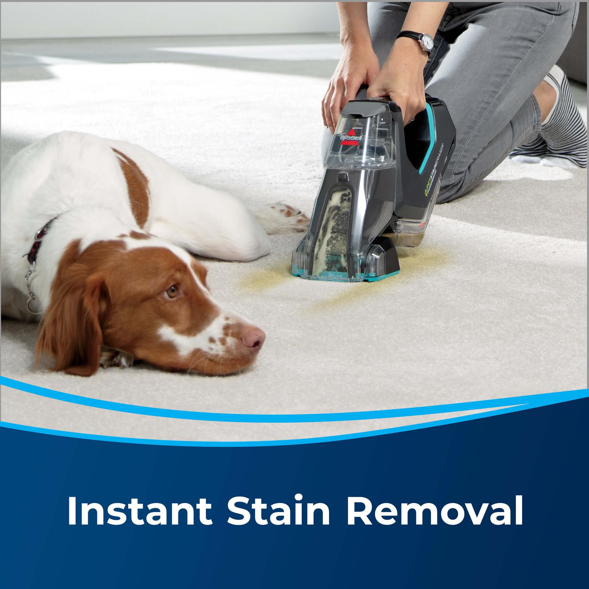 bissell pet stain eraser power button not working