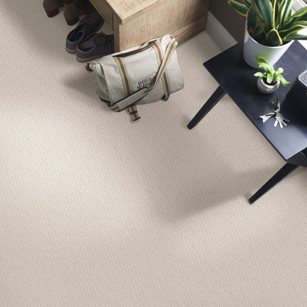 Shaw Loop De Loop Carpet in Canvas, , large