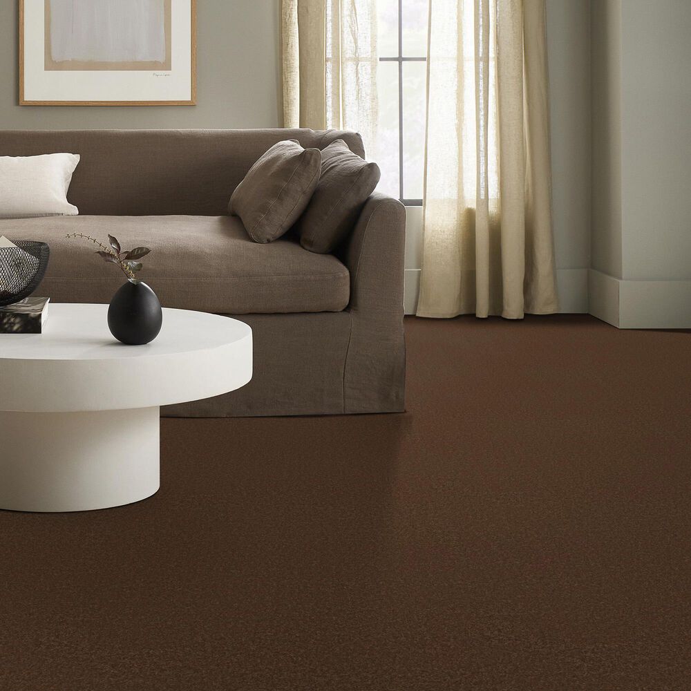 Anderson Tuftex Elegant Beauty Carpet in Bronco, , large