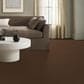 Anderson Tuftex Elegant Beauty Carpet in Bronco, , large