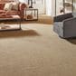 Mohawk Refined Saga II Carpet in Silken Sable, , large