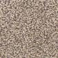 Dixie Home Debut Carpet in Yosemite, , large