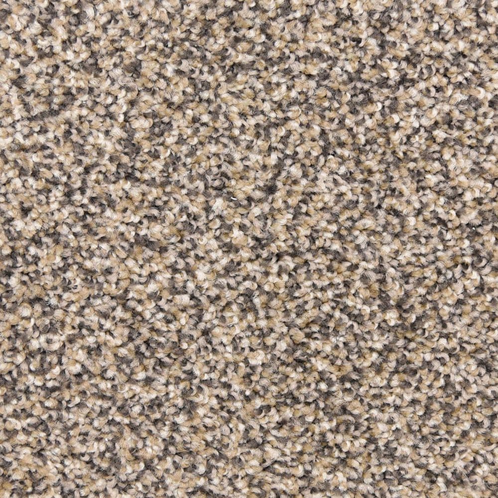 Dixie Home Debut Carpet in Yosemite, , large
