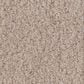 Anderson Tuftex Luxe Feel II Carpet in Harvest Moon, , large