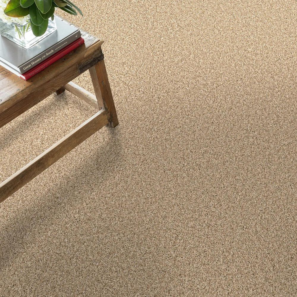 Anderson Tuftex Wyndham Estate Carpet in Golden, , large