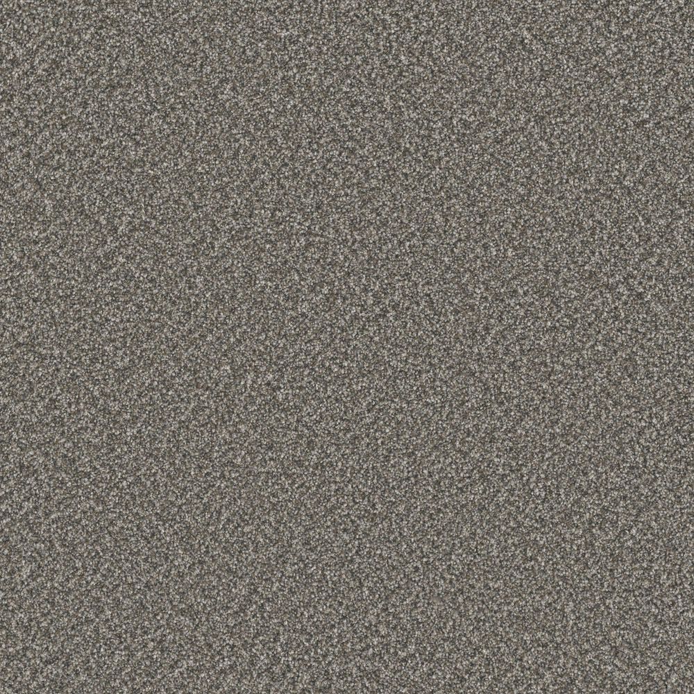 Philadelphia Merino Carpet in Velvet, , large