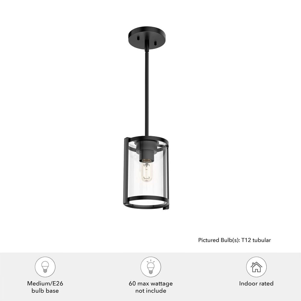 Hunter Astwood 1-Light Mini Pendant in Matte Black, , large