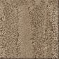 Anderson Tuftex Trace Carpet in Woodgrain, , large