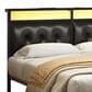 HOMLUX Full Upholstered Platform Bed with 12.6" Under-bed Storage in Black, , large