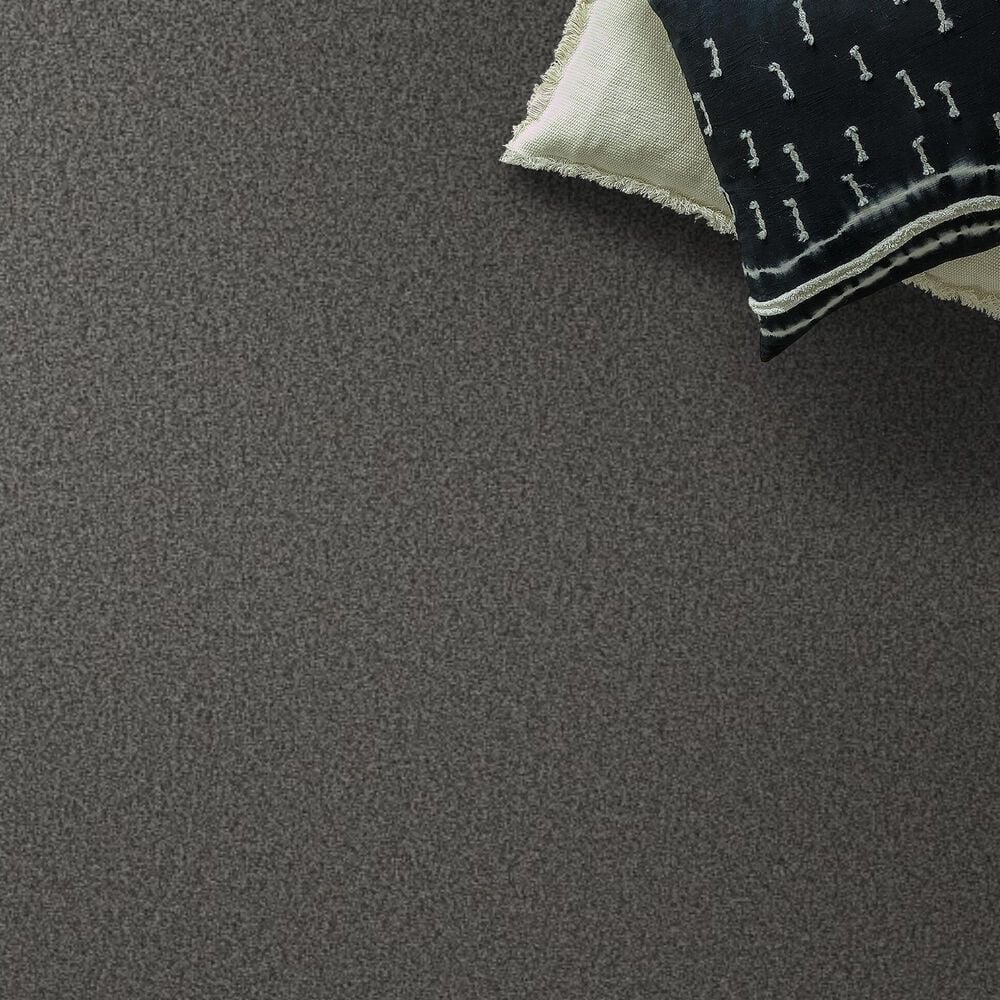Shaw Tonal Comfort I Carpet in Power Suit, , large