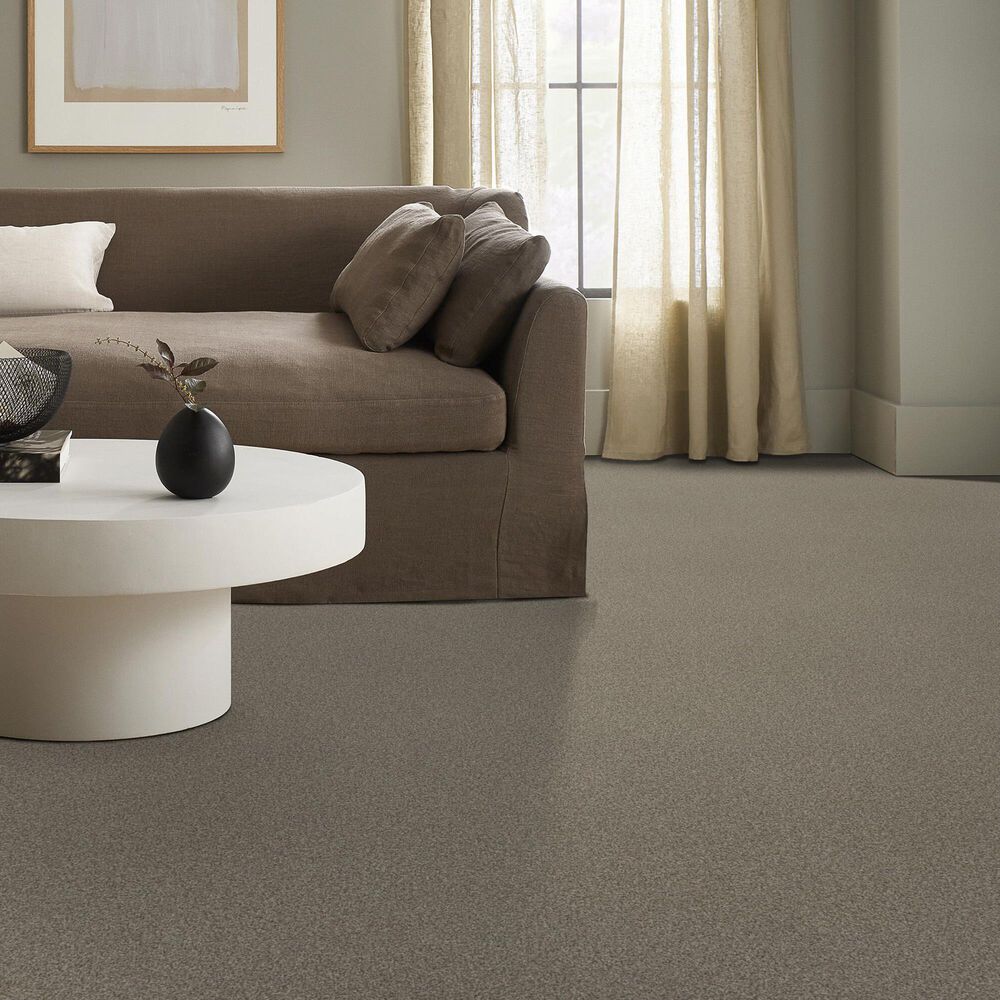 Anderson Tuftex Terra Nova Carpet in Urban Nature, , large