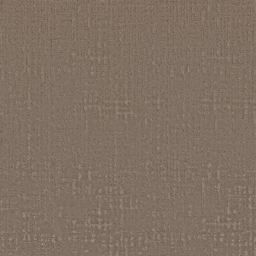 Dixie Home Premier Choice Carpet in Mushroom, , large