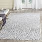 Safavieh Adirondack ADR104N-4 4" x 6" Ivory/Charcoal Area Rug, , large