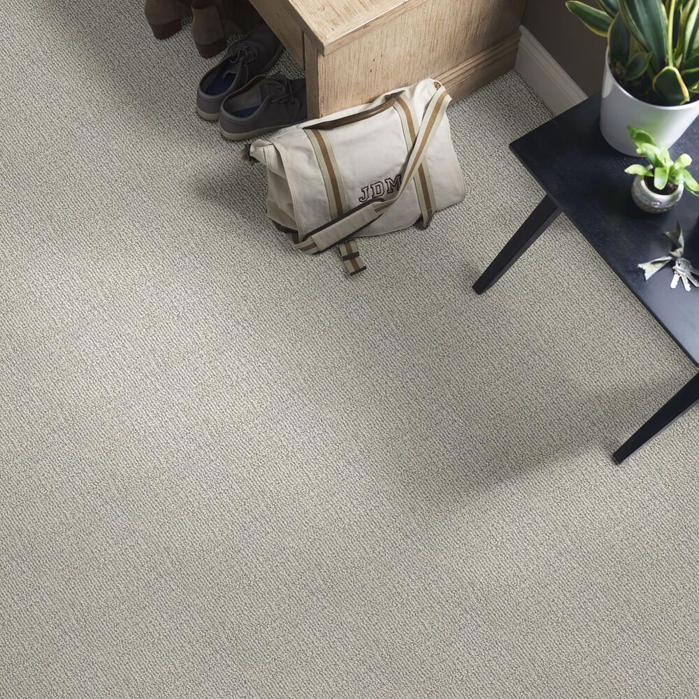 Anderson Tuftex Loredo Carpet in Ice Formation, , large