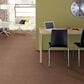 Anderson Tuftex Lavish Living Carpet in Sunbaked, , large