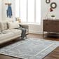 Surya Addyson 8" x 10" Ivory, Pale Blue and Dusty Sage Area Rug, , large