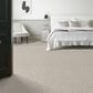 Anderson Tuftex Ambitious Carpet in Vintage Find, , large