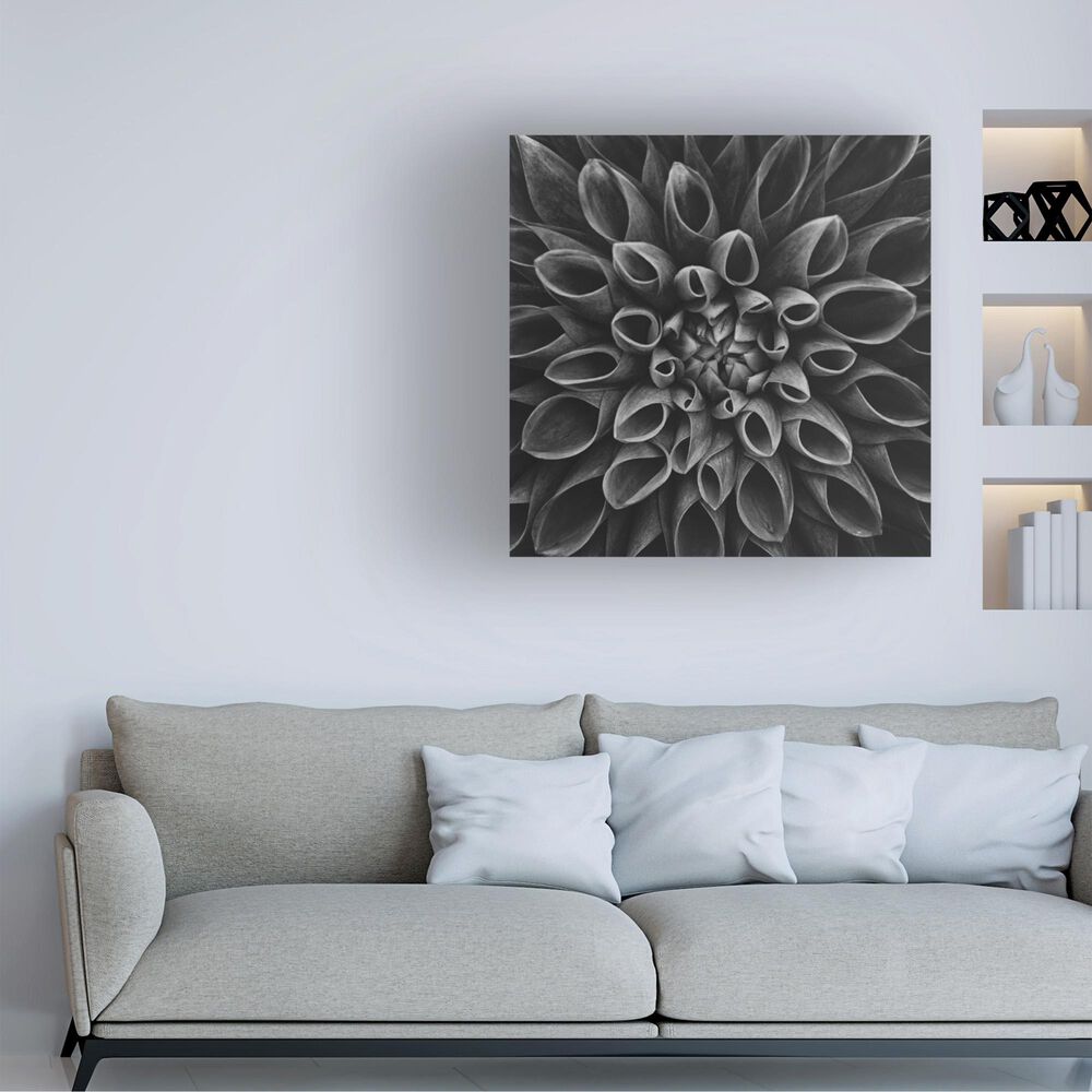 Timberlake Lotte Gronkjar 'Dahlia Low Key' 35" x 35" Canvas Art, , large