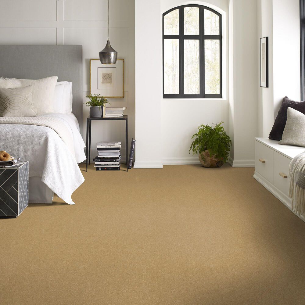 Shaw Hard At Play Iii Carpet in Honeycomb, , large
