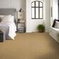 Shaw Hard At Play Iii Carpet in Honeycomb, , large
