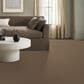 Anderson Tuftex Cypress Falls Carpet in Baked Clay, , large