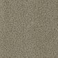 Phenix In The Details Carpet in Distinct, , large