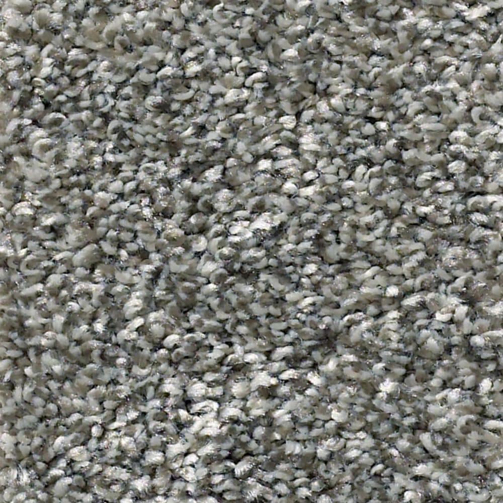 Shaw Simply the Best All Over It I Carpet in Sparrow, , large
