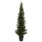 Timberlake 5" Artificial Cedar Topiary Tree with Pot in Green, , large