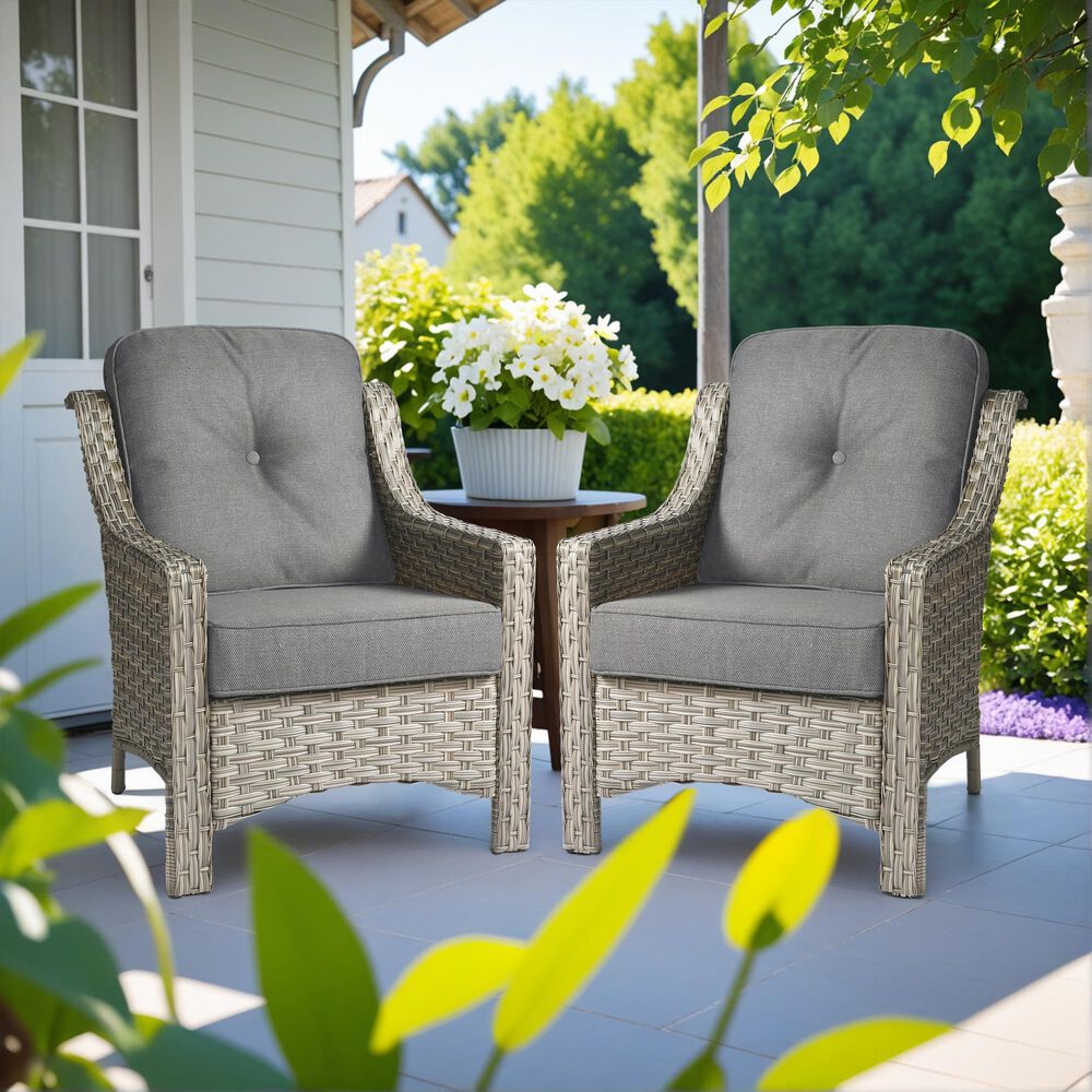 HOMLUX Outdoor Arm Chair in Dark Gray (Set of 2), , large