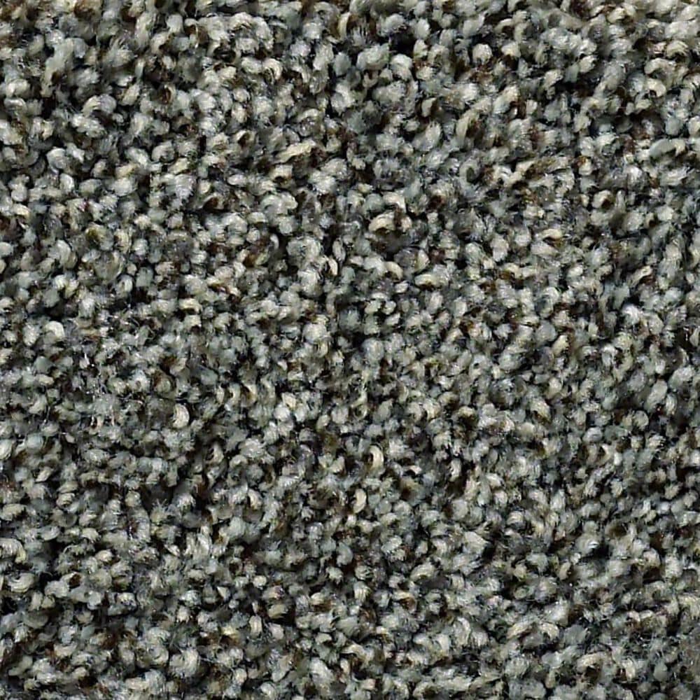 Anderson Tuftex The Bark Side II Carpet in Rushmore, , large