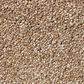 Shaw Sfa Find Your Comfort NS II Carpet in Falling Leaves, , large