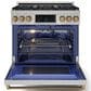 THOR KITCHEN Gordon Ramsay 6 Cu. Ft. 36" Professional Liquid Propane Range with Bronze Handle Kit in Stainless Steel, , large