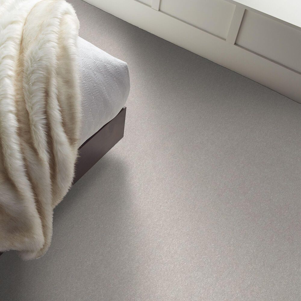 Shaw Hard At Play Iii Carpet in Frozen, , large
