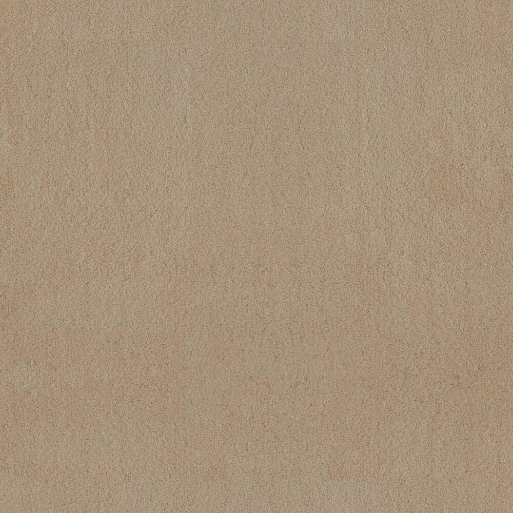 Anderson Tuftex Luxe Feel I Carpet in Gentle Doe, , large